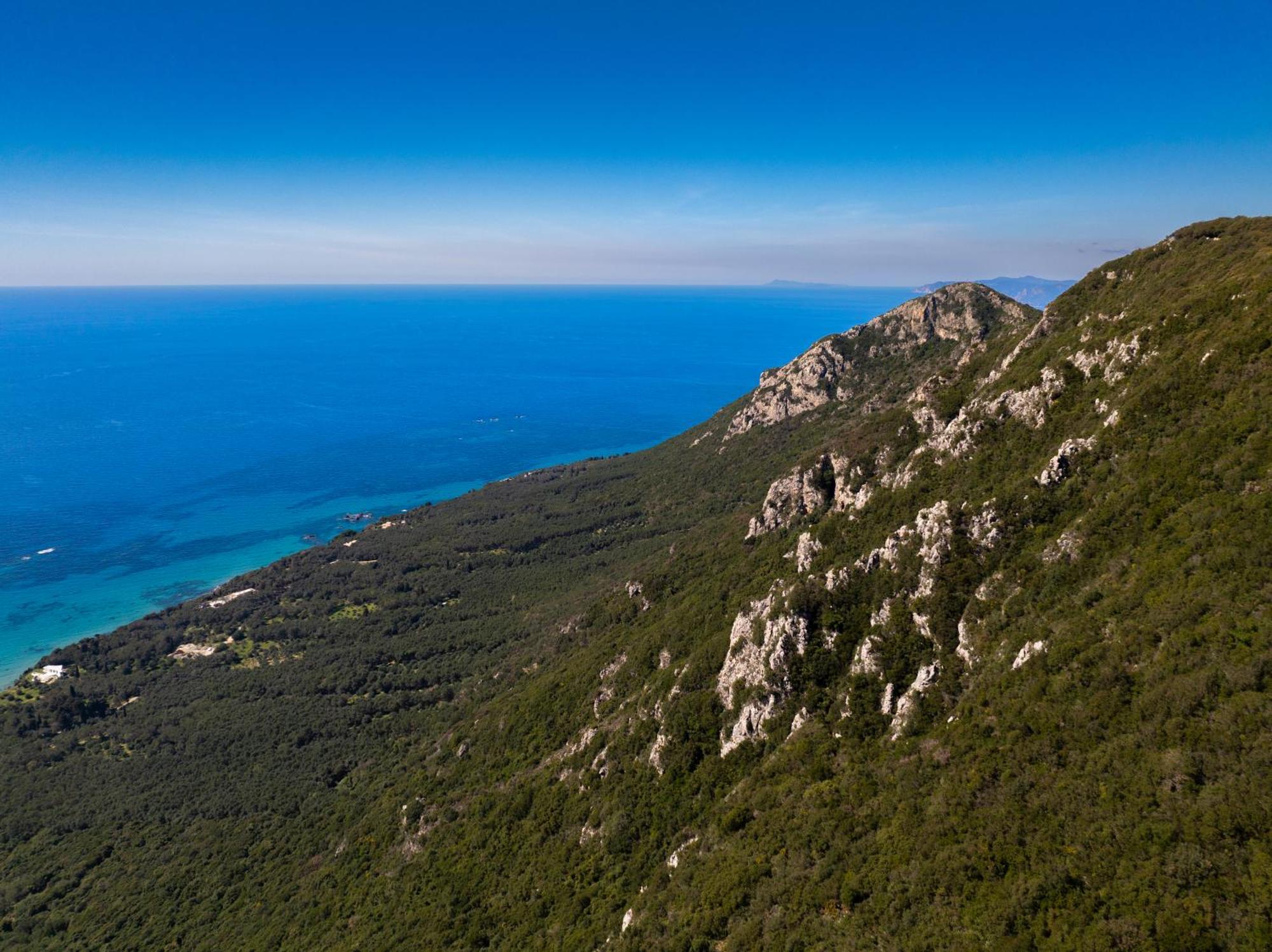 Halikounas Artemis Prasoudi Beach מראה חיצוני תמונה